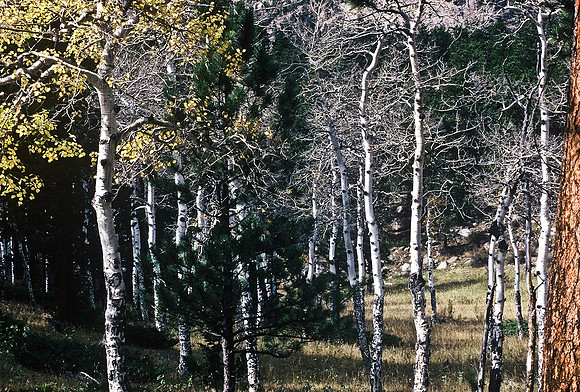 47499_B7_SL_COLOR_HOT_SULPHUR_SPRINGS_HWY40_CO_97_03.jpg