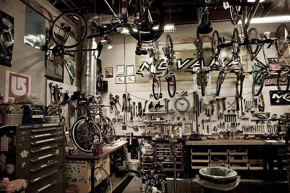 0024_DG_Corta_Madera_CA_USA_20095L8Y0239