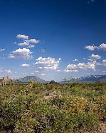 4000_20080719_ADS_Mexican_Landscape_Mexico_189