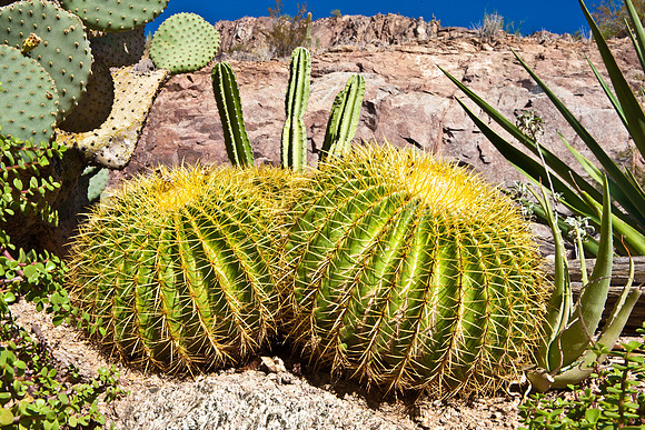 0031_La_Arizona_5L8Y5228