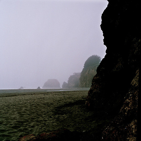 6043_COLOR_SQ_MANDACINO_HEADLANDS_SP_CALFORNIA_05_5.jpg