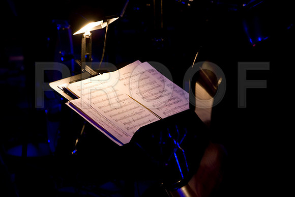Jazz_Roots_Bosanova_12_12_2008_5L8Y1560