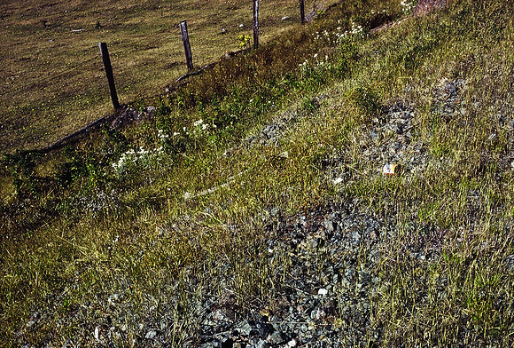 47368_B3_SL_COLOR_SURROUNDINGS_NE_97_03.jpg