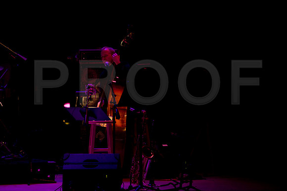 Jazz_Roots_Bosanova_12_12_2008_5L8Y1196