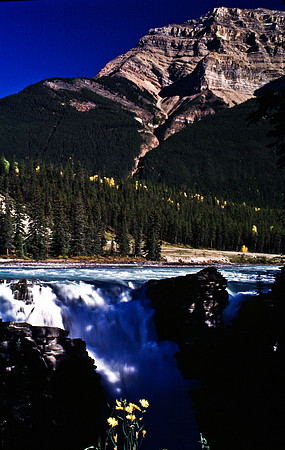 06835_B19_SL_COLOR_ATHABASCA_FALLS_ONE_OF_JASPER_NAT_PARK_BC_WS_97_09.jpg
