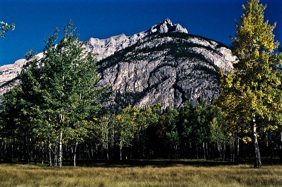 06823_B19_SL_COLOR_BISON_NAT_PARK_LAKE_LOUIS_VILLAGE_WS_97_19.jpg