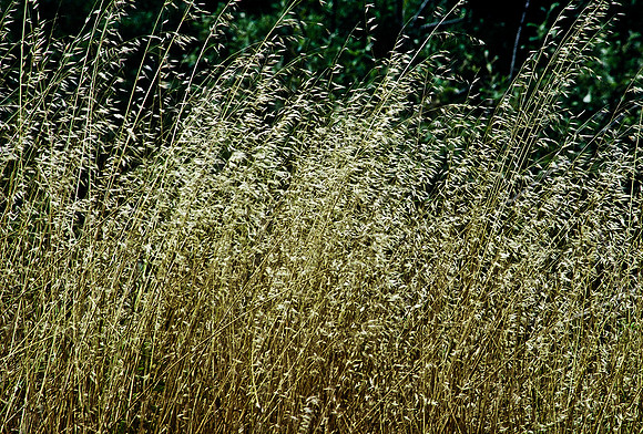 47389_B3_SL_COLOR_SURROUNDINGS_NE_97_20.jpg