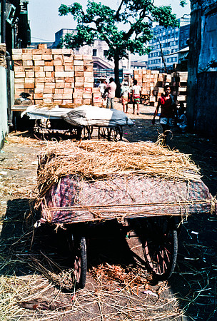 47282_SL_COLOR_INDIA_1987_8