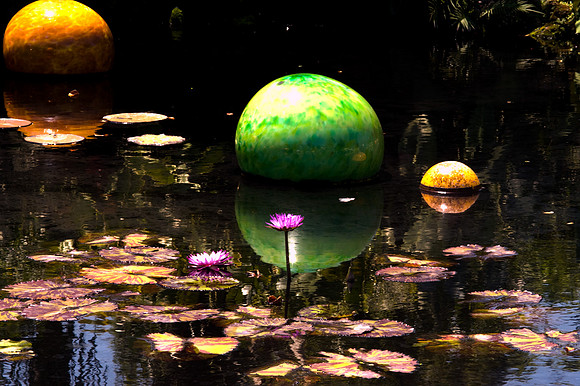 84775_DSC_0097_Fairchild_Garden_Miami_FL_USA