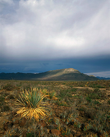 4000_20080719_ADS_Mexican_Landscape_Mexico_P069