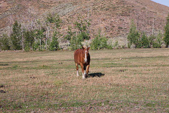 0021_Wyonming_To_Ketchem_Sun_Valley_ID_5L8Y80021_014