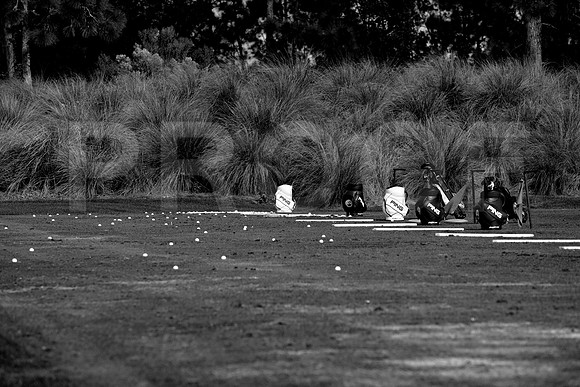 36205_DG_BW_USA_Osceola_County_Celebration_Town_FLZV4N8344