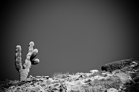 0031_La_Arizona_5L8Y5490