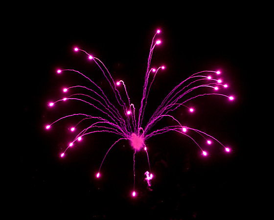3885_DG_4_July_Fisher_2010_Miami_FL_ZV4N4876