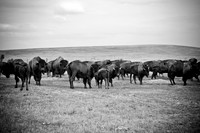 0044_North_Dacota_Fargo_to_South_Rapid_City_TO_CHEYENNE_5L8Y4164