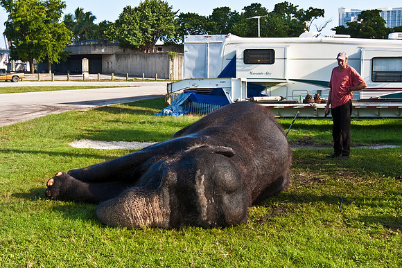 42588_Circus_Miami__Park__IMG_6378