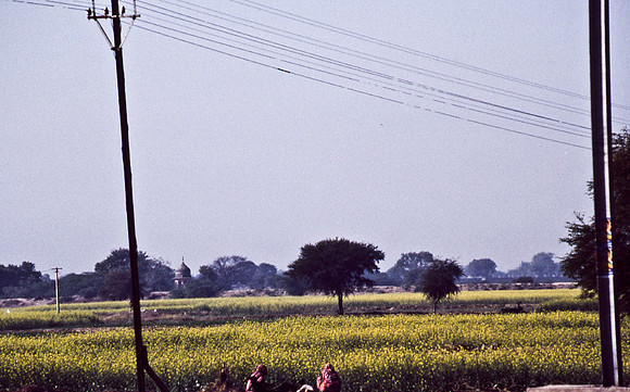 47300_SL_COLOR_INDIA_1987_15
