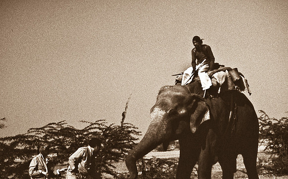 47284_SL_COLOR_INDIA_1987_6
