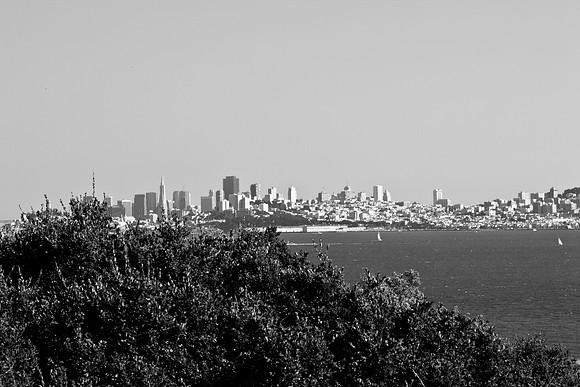 0026_DG_San_Francisco_Bay_CA_USA_2009_5L8Y1951