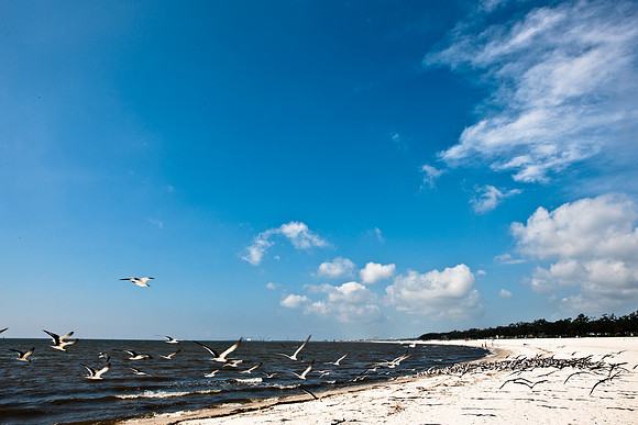 0036-NEW_ORLEANS_TO_PANAMA_CITY_BEACH_5L8Y1177