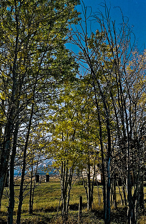 6087_FM_COLOR_ASPEN_TO_INDEPENDENT_CO_05_5.jpg