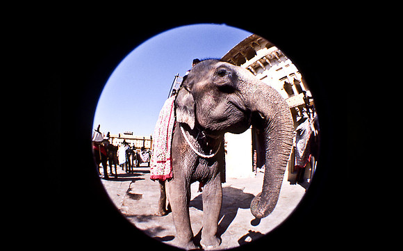 47297_SL_COLOR_INDIA_1987_1