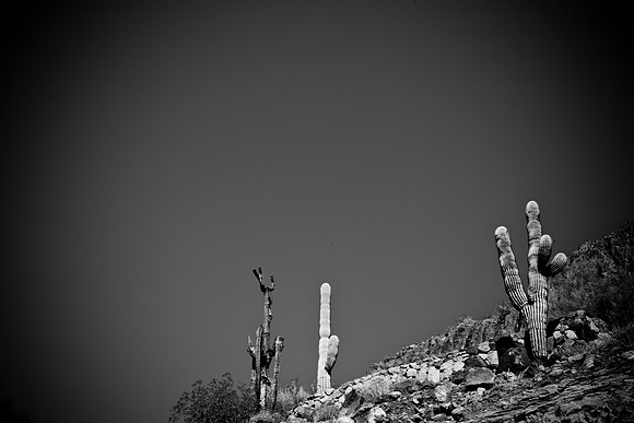 0031_La_Arizona_5L8Y5308