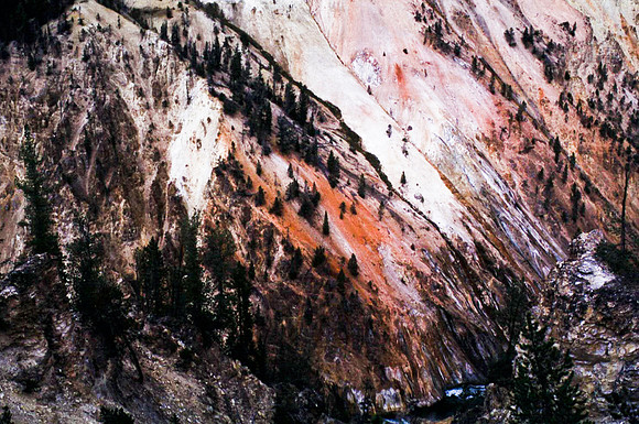47636_B11_SL_COLOR_YELLOWSTONE_WY_97_01.jpg