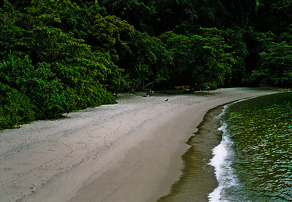 FILM
