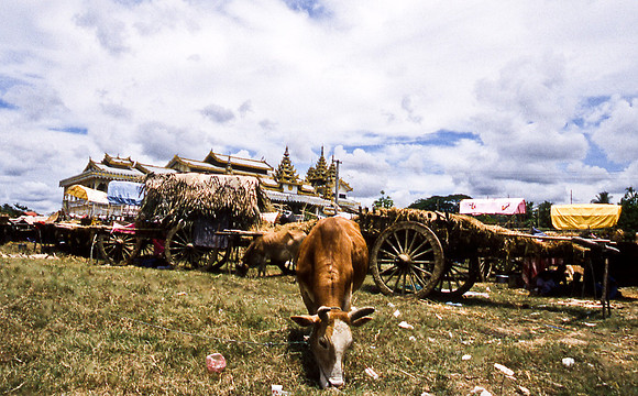 3486_SL_COLOR_AROUND_THE_WORLD_IN_8_MONTHS_APRIL_2000_6