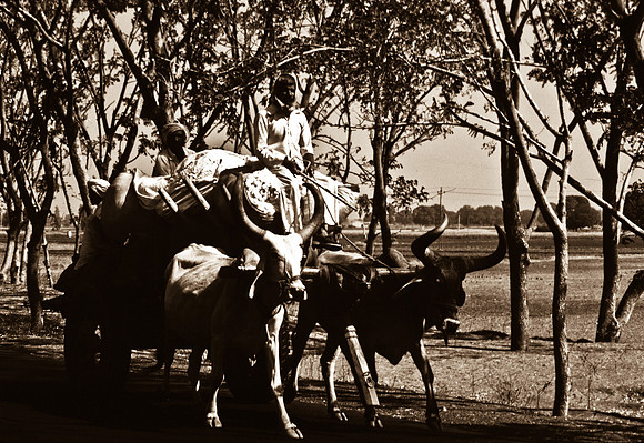 47283_SL_COLOR_INDIA_1987_7