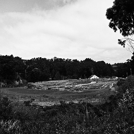 6019_FM_BW_HALF_MOON_BAY_CA_05 _10.jpg
