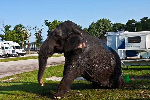 42586_Miami_Brickell_Circus_FL_20080816_IMG_3871