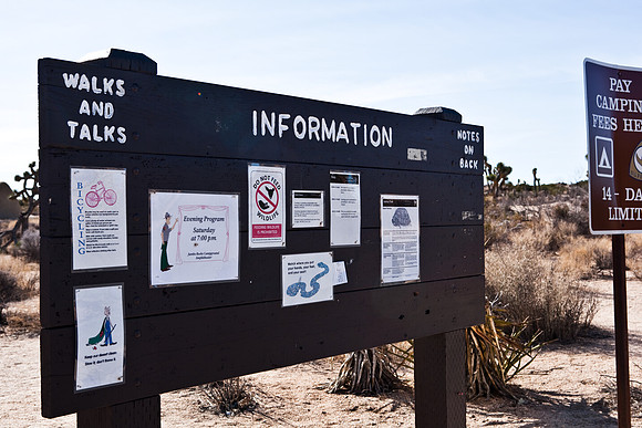 06646_DG_COLOR_JOSHUA_TREE_NAT_PARK_29_PALMS_CALIFORNIA_CA_USA_2007_ZV4N_458