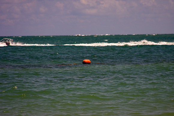 85766_FL_DG_IMG_2871