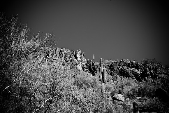 0031_La_Arizona_5L8Y5202