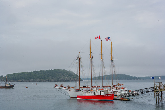 20060627_Maine_ZV4N1007