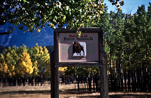 06825_B19_SL_COLOR_BISON_NAT_PARK_LAKE_LOUIS_VILLAGE_WS_97_13.jpg