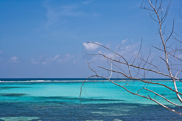 3876_DG_Cayman_Island_Caribbean_ZV4N0605