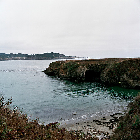 6043_COLOR_SQ_MANDACINO_HEADLANDS_SP_CALFORNIA_05_10.jpg