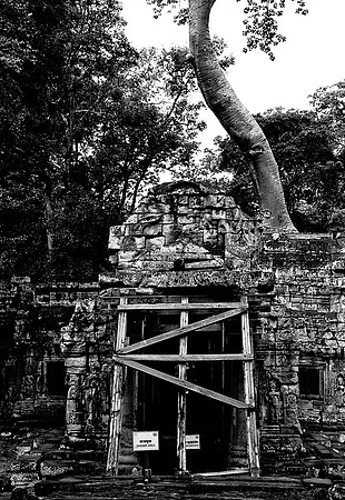 62456_2008_FM_BW_Temples_SlemReap_Cambodia_011