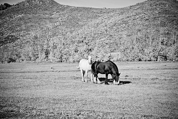 0021_Wyonming_To_Ketchem_Sun_Valley_ID_5L8Y70021_992