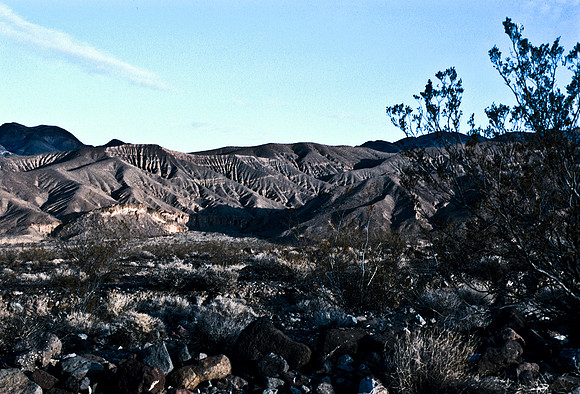 47924_B17_SL_COLOR_LOS_ANGELES_CA_97_02.jpg