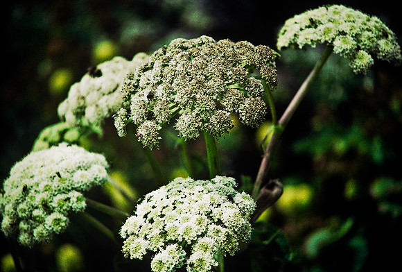 47389_B3_SL_COLOR_SURROUNDINGS_NE_97_16.jpg