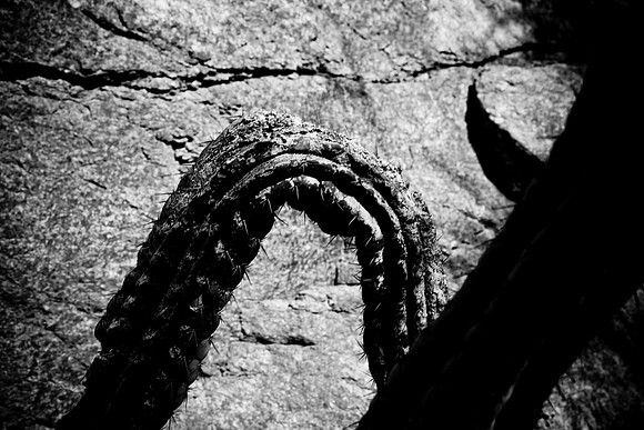 0031_La_Arizona_5L8Y5508
