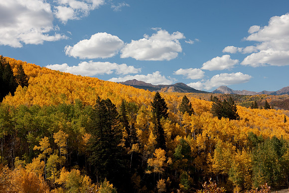 20080829_DVD15_DG_USA_Aspen_2083_full_blead