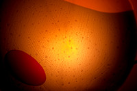 2606_Key_Biscayne_Mandarine_Hotel_20090307-5L8Y2169