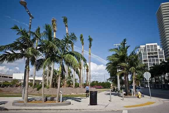 3104_DG_Midtown_Park_Instalation_Basel_Miami_FL_5L8Y7453