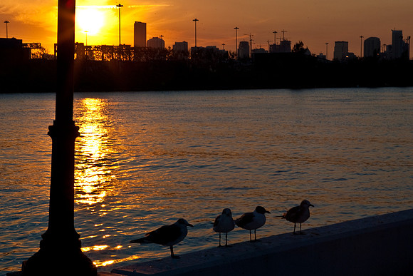 85527_Sunset_Fisher_Miami_FL_ZV4N0593