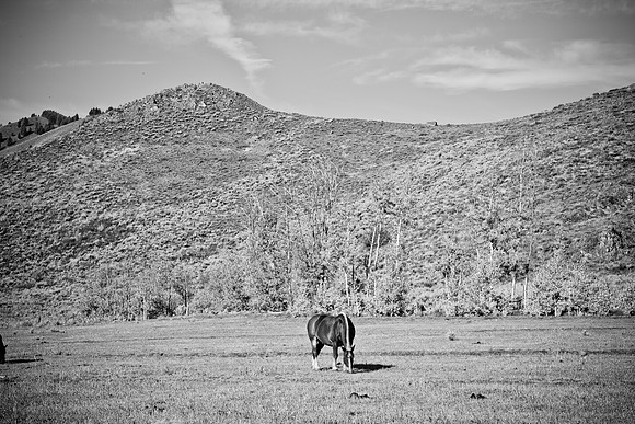 0021_Wyonming_To_Ketchem_Sun_Valley_ID_5L8Y80021_004